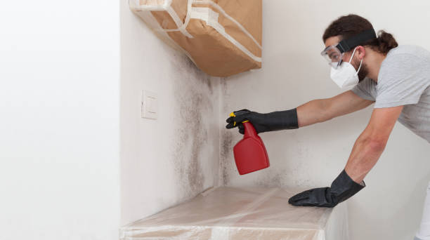 Professional Mold Removal technician working in Omena, MI